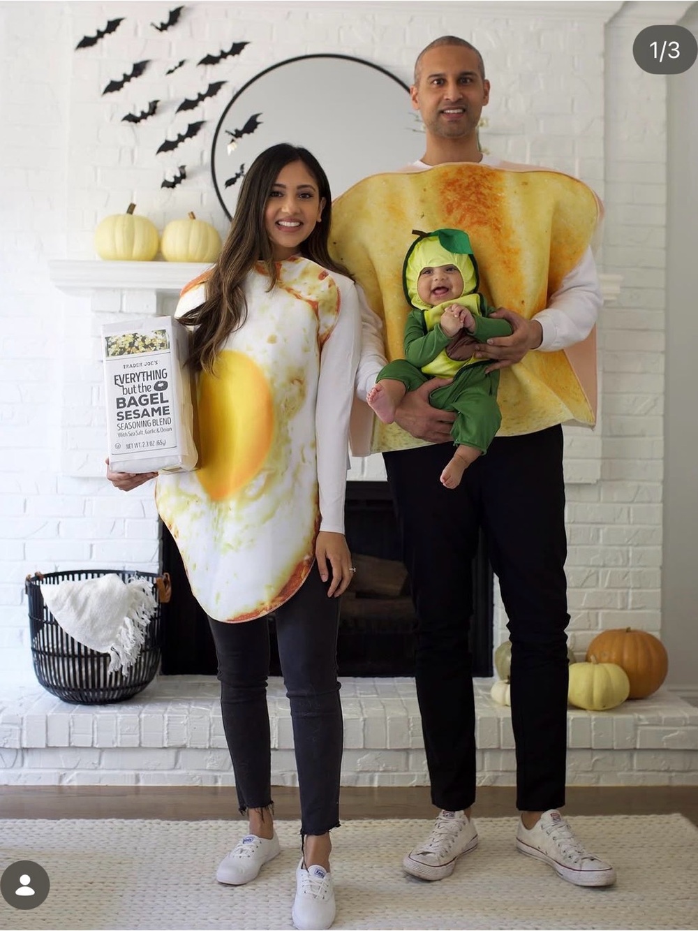 Avocado Toast Family Halloween Costume Bundle - NEW